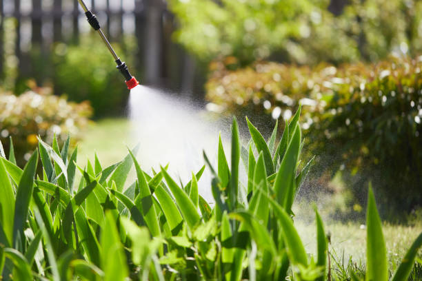 24/7 Emergency Wasp Removal experts in Irmo, SC