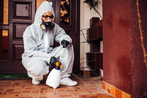 Reliable Wasp Removal contractor in Irmo, SC by Show Me Pest Control